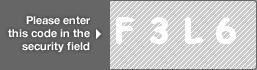 captcha code for visual authentication  letter F number 3 letter L number 6